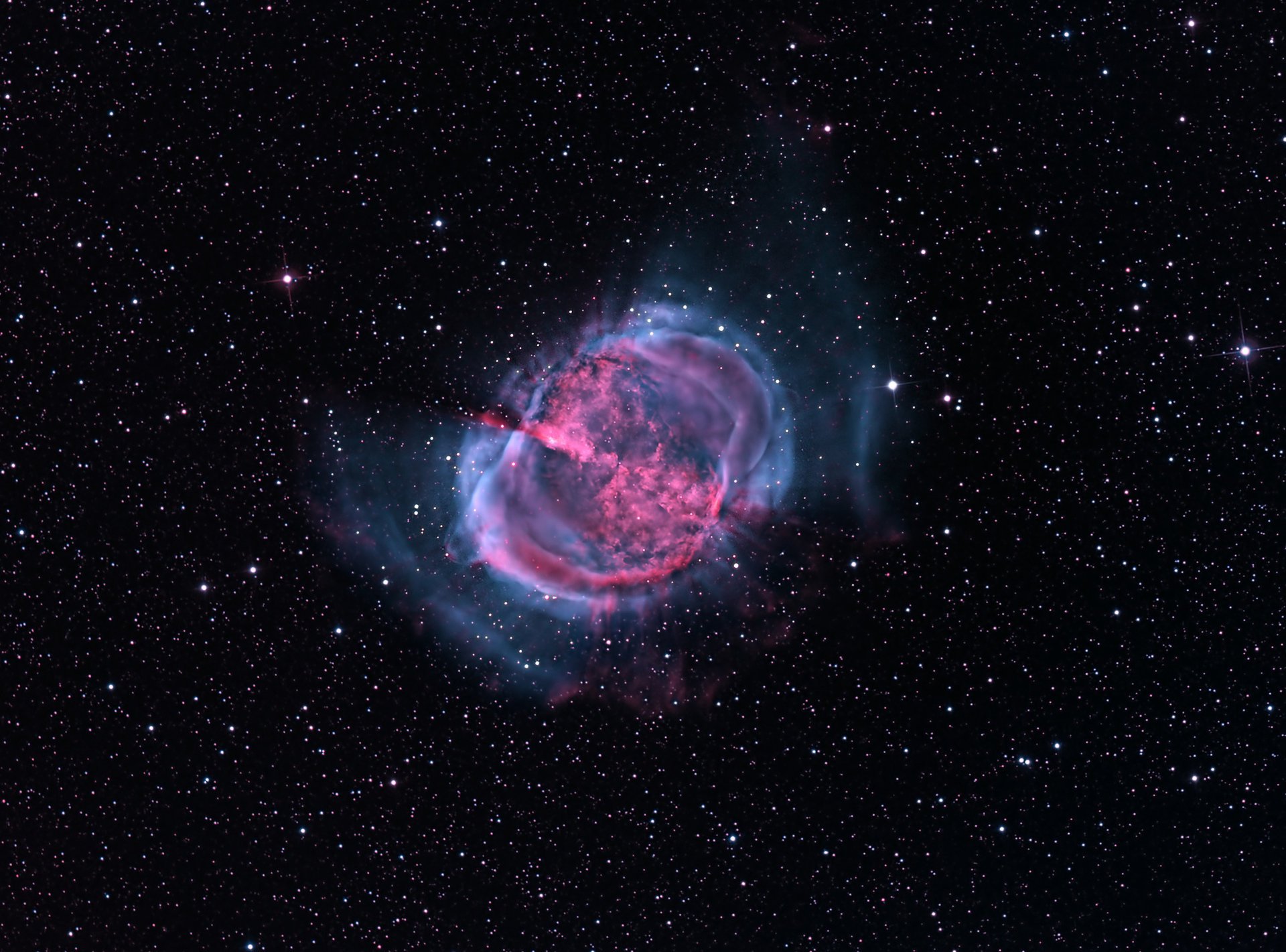 m27 haltère nébuleuse chanterelle constellation