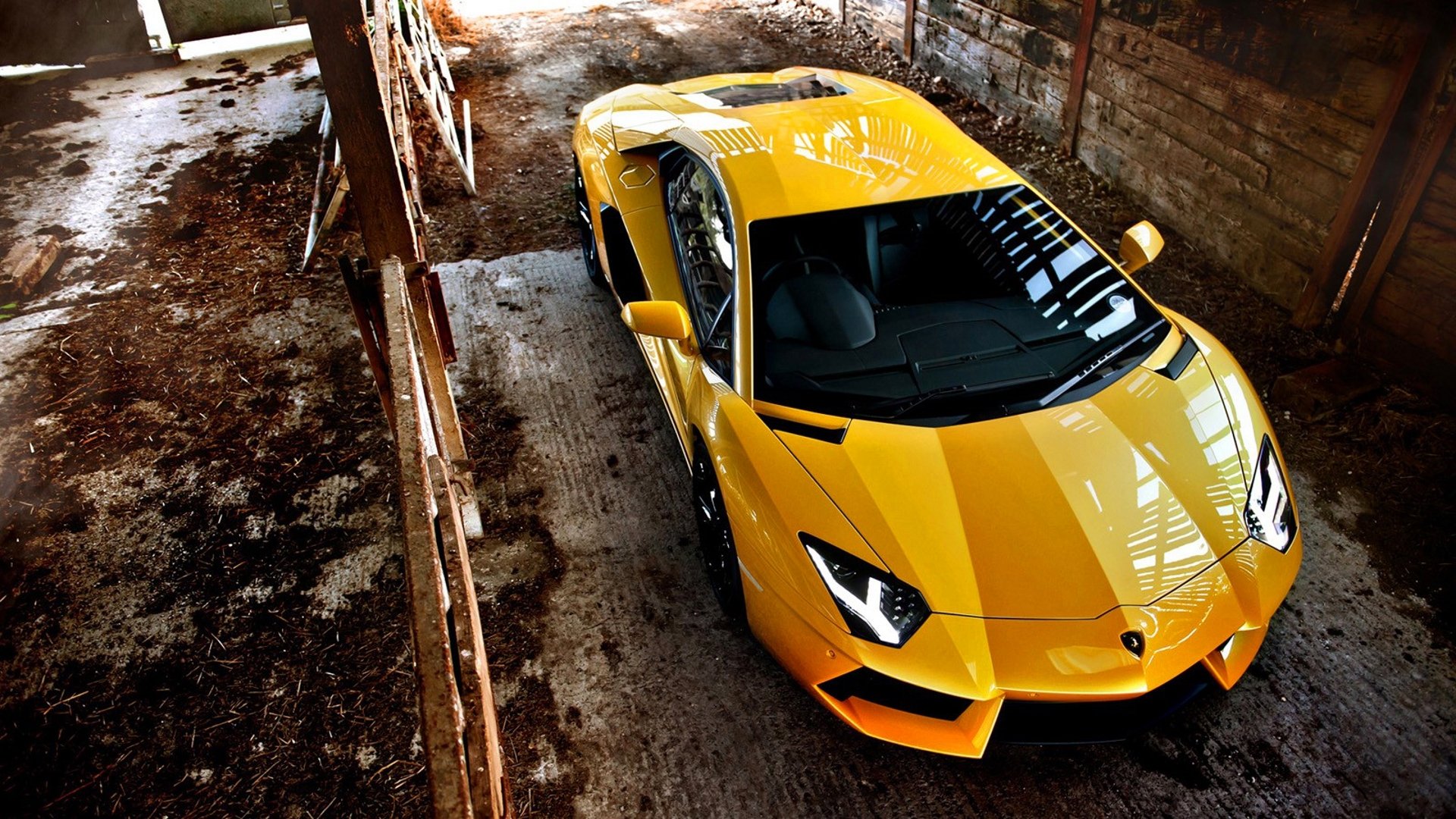 auto lamborghini aventador sport auto giallo