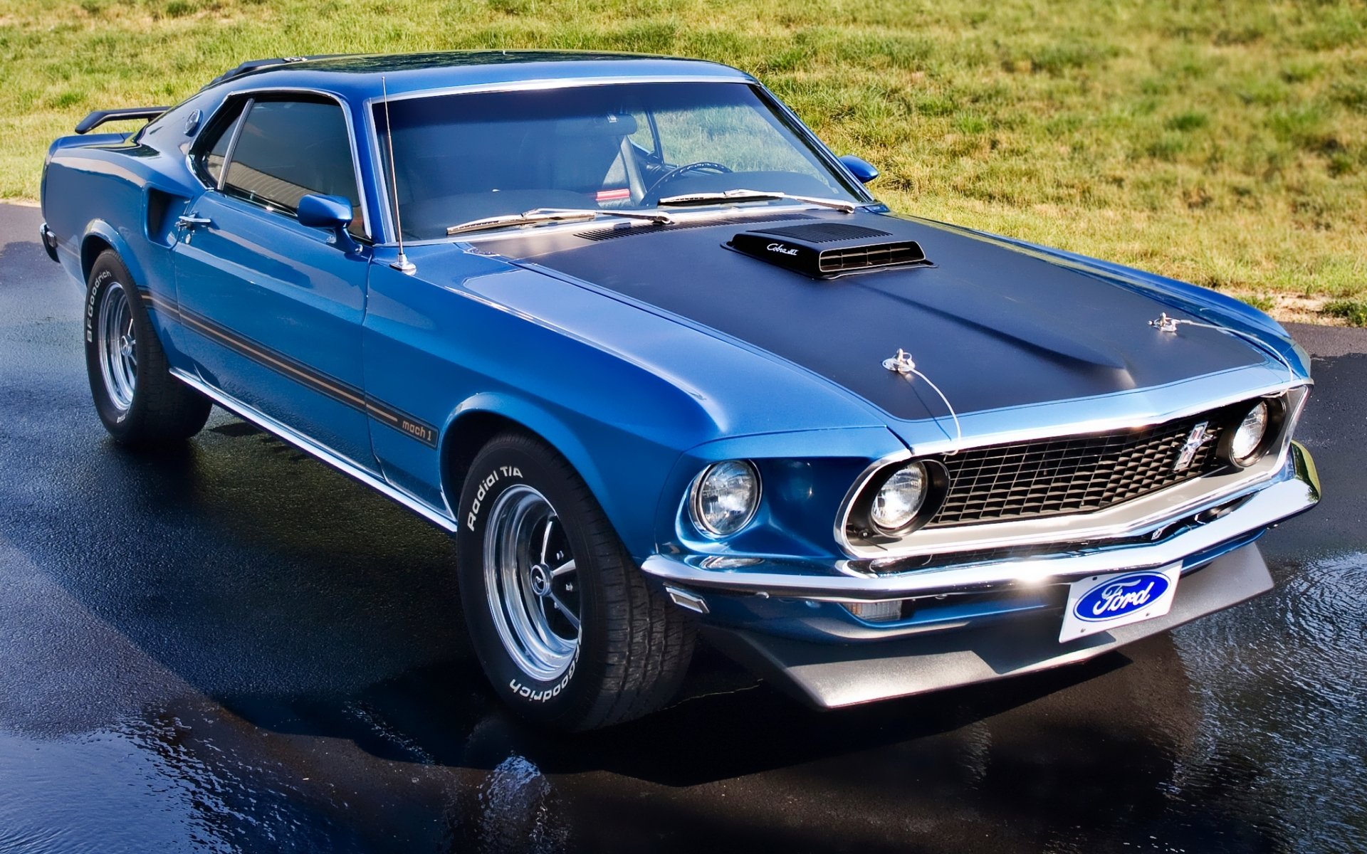 ford mustang mach 1 1969 azul delantero coche del músculo muscle car clásico césped