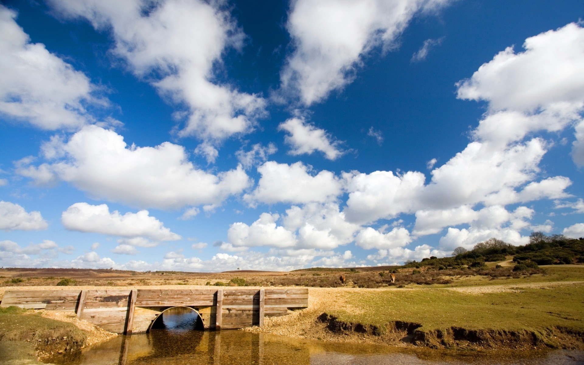 clouds sky river bridge steppe water