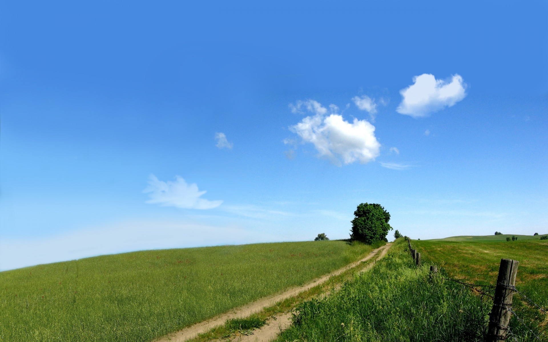 nature sky the field green road