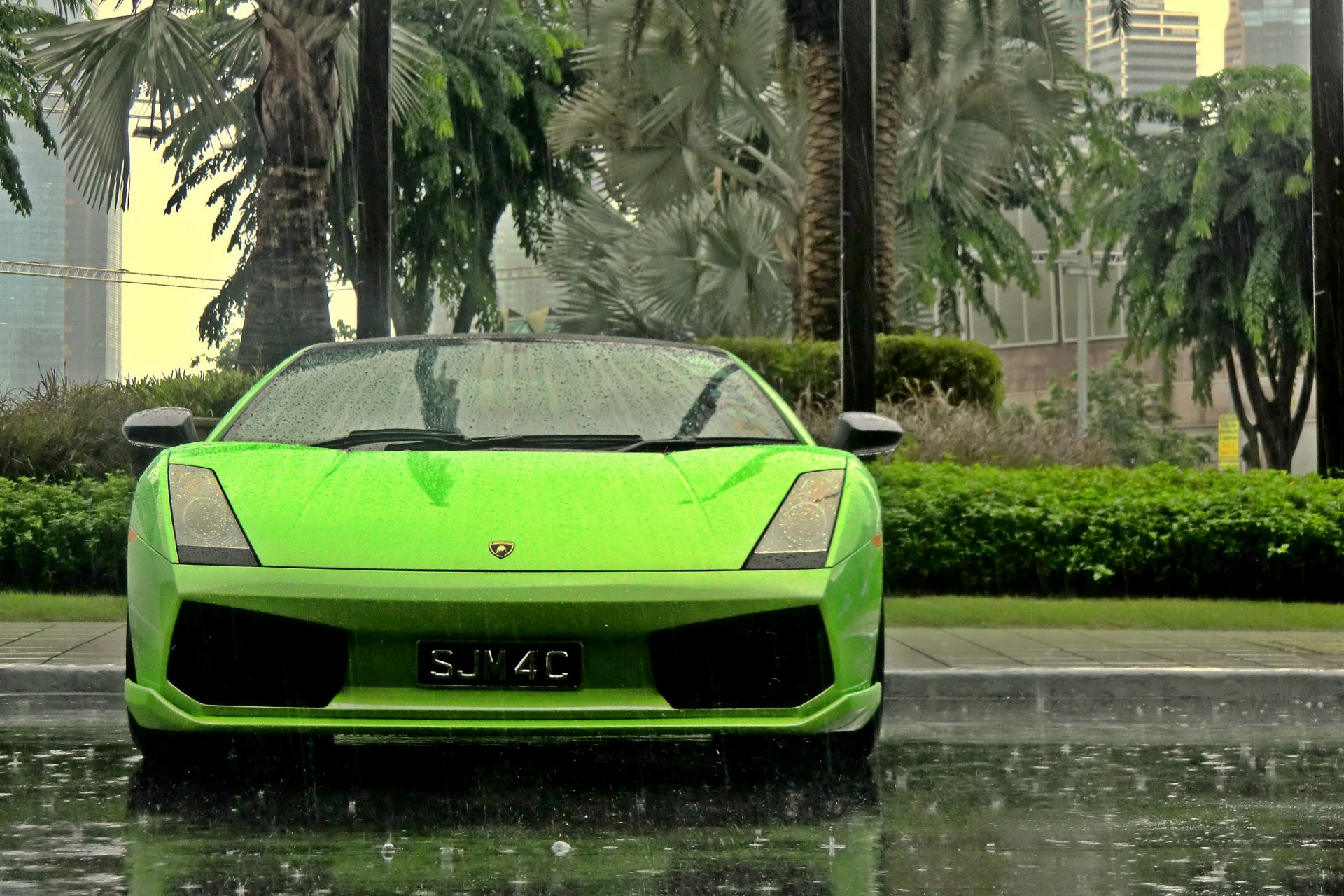 lamborghini gallardo supercar rain palm trees wallpaper