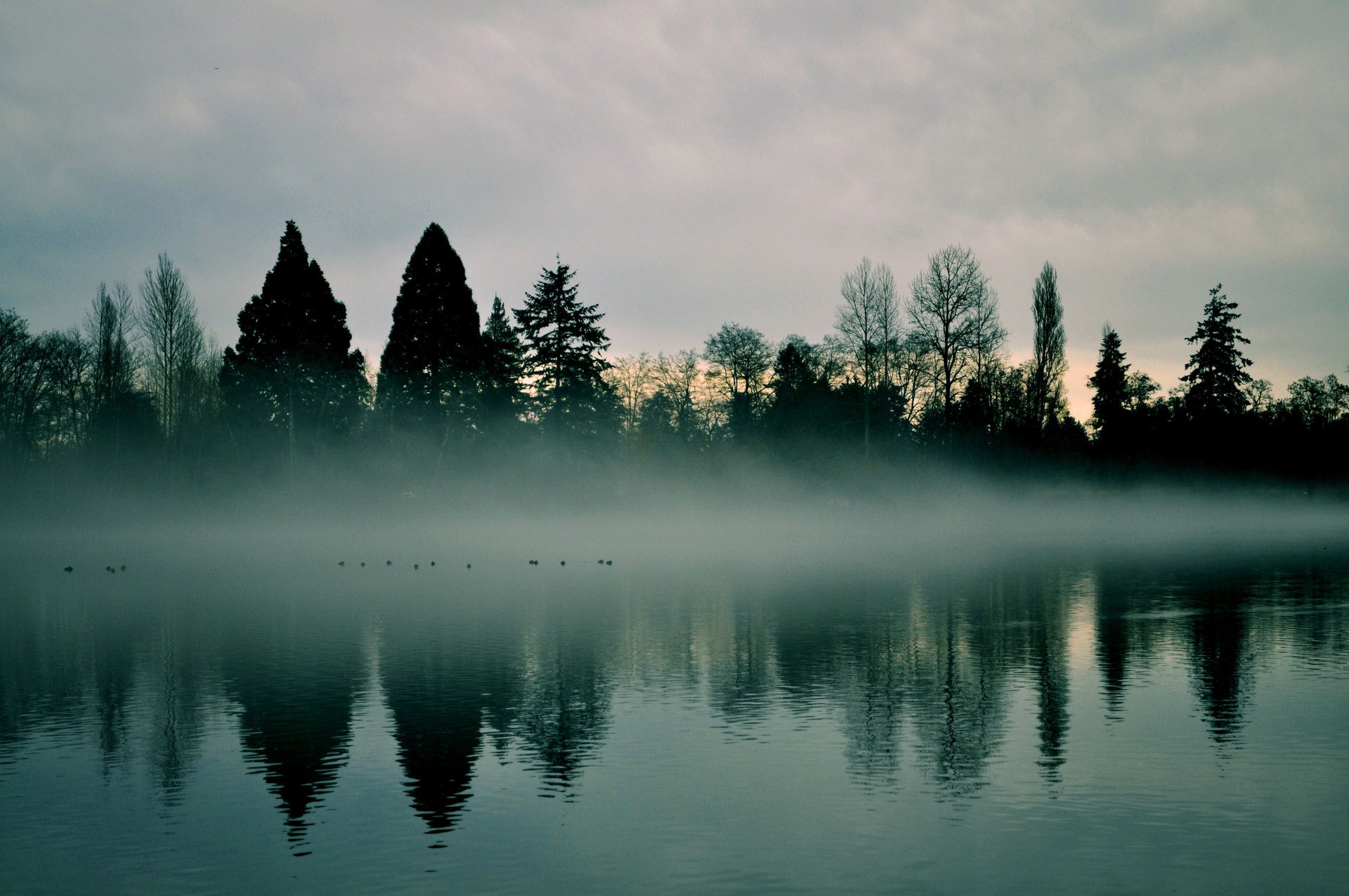 dunst am frühen morgen morgendämmerung fluss