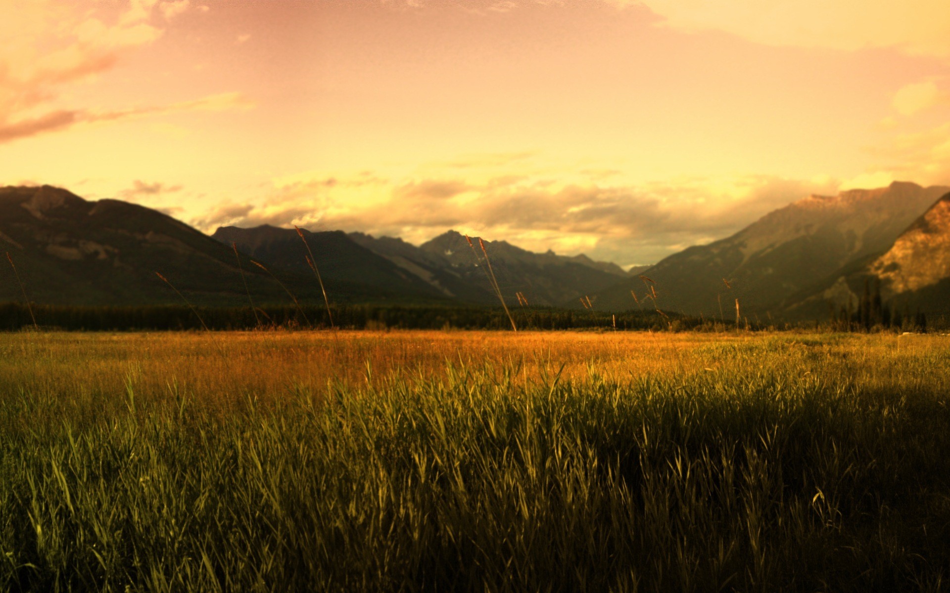 feld berge sonnenaufgang