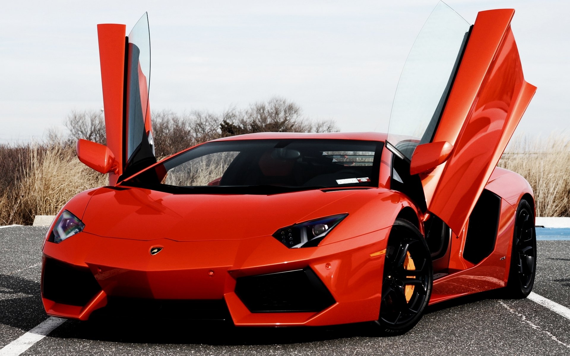 lamborghini aventador lp700-4 lamborghini aventador superdeportivo frente naranja puertas