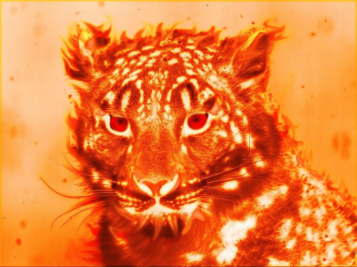 tiger bright orange