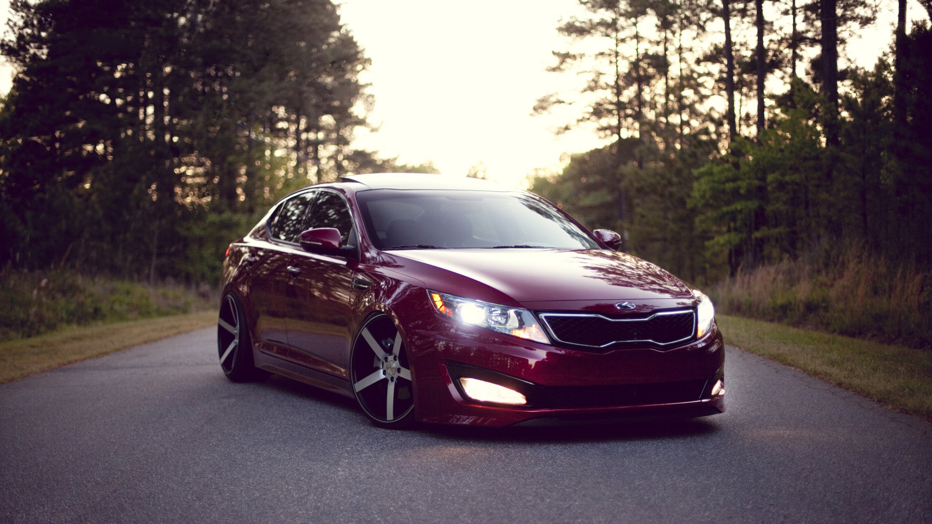 kia optima sauber position straße baum kia optima wald