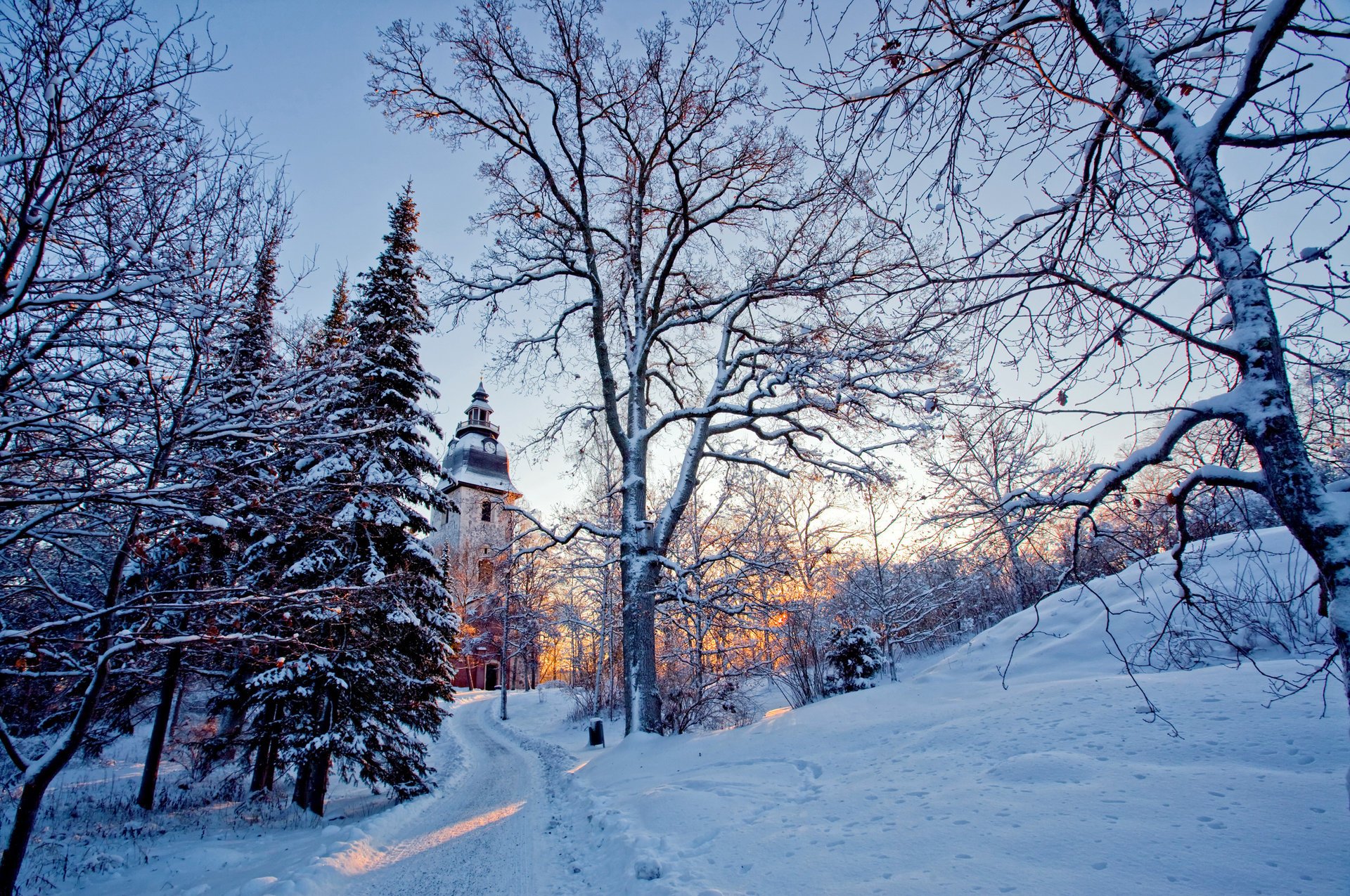 natura neve luce inverno alberi chiesa