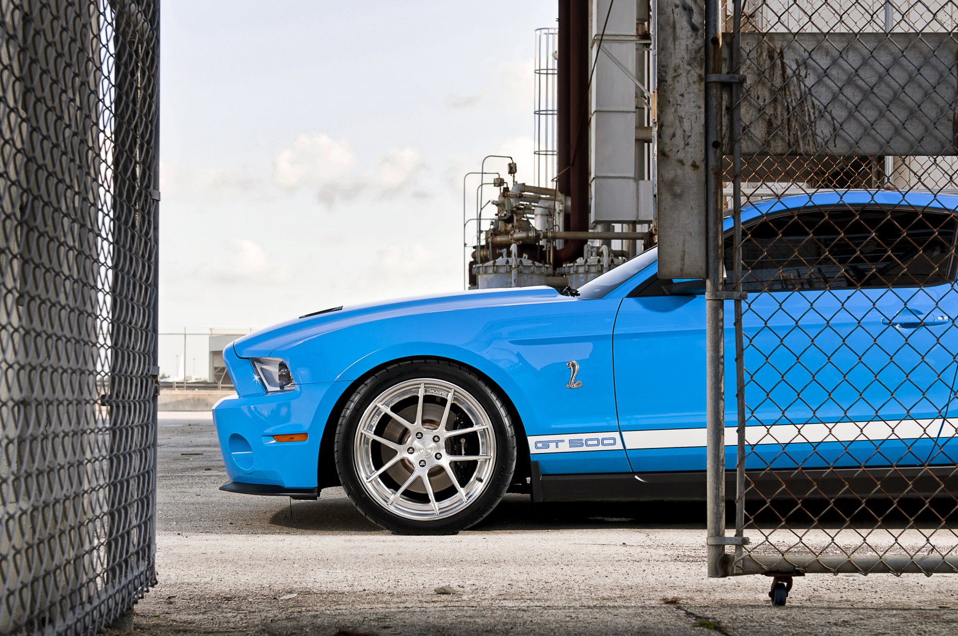 ford mustang shelby gt500 blau hellblau sportstreifen muscle car zaun mesh