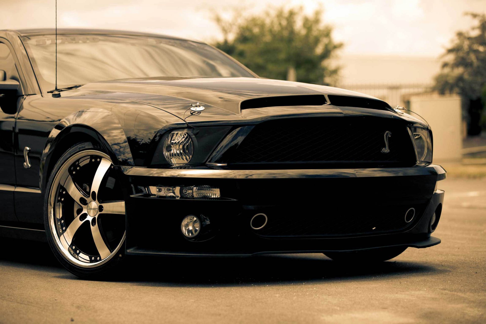 ford mustang shelby gt500 black muscle car muscle car