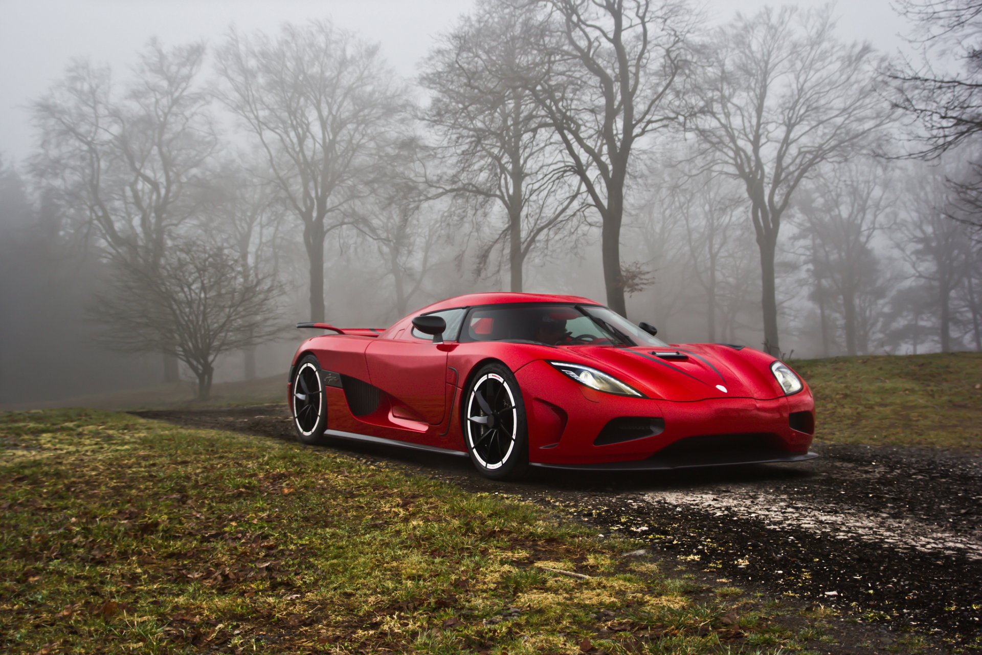 koenigsegg agerar arbres herbe route brouillard