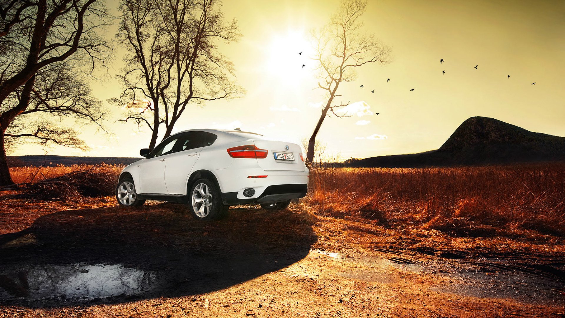 bmw x6 bianco suv suv bmw sole pozzanghera