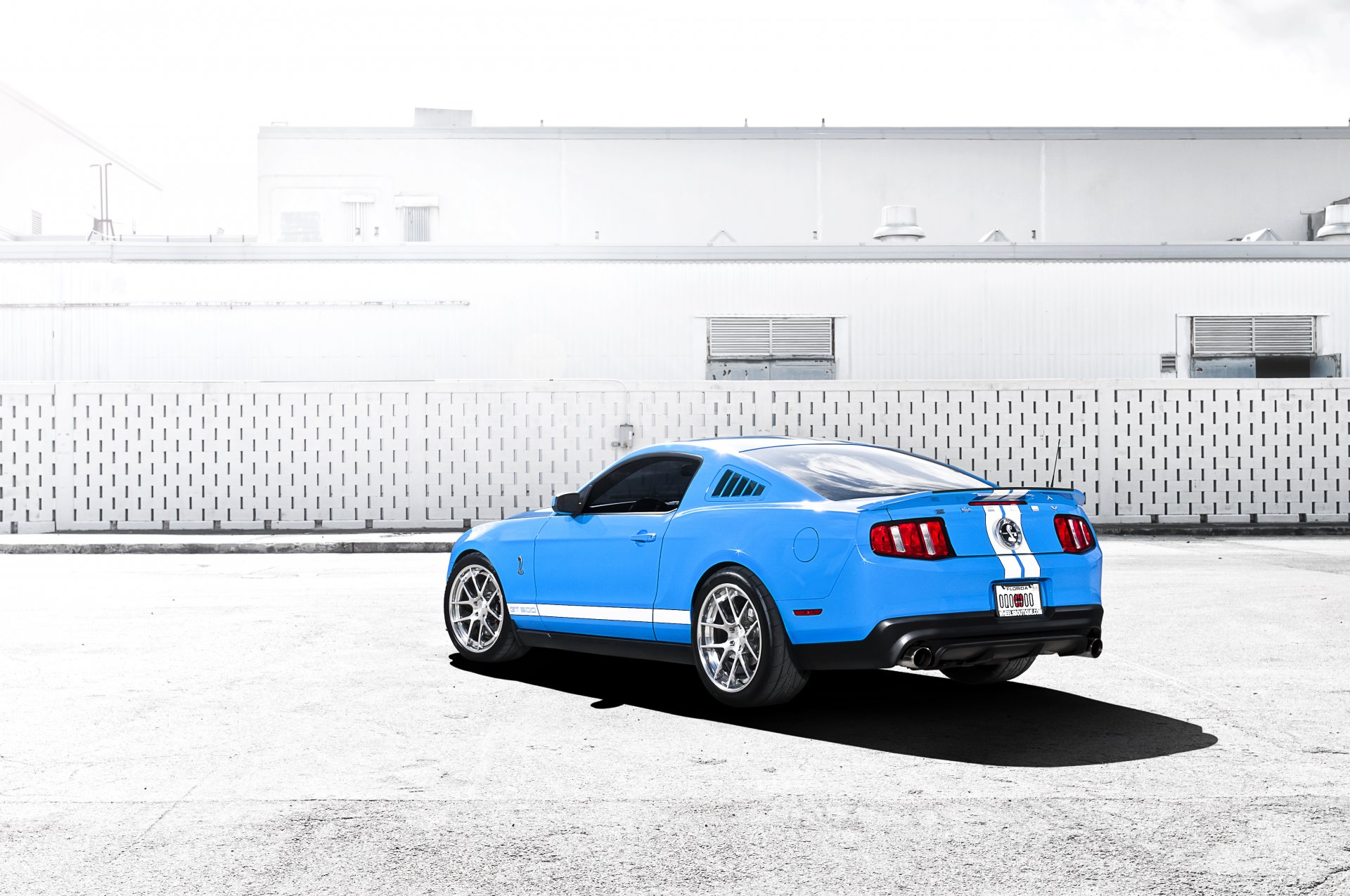 ford mustang shelby gt500 blau hellblau sportstreifen muscle car rückseite