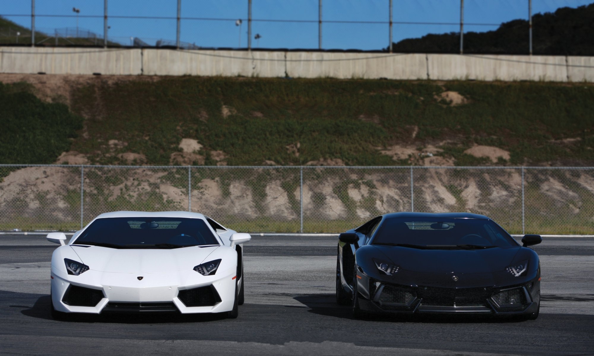 lamborghini aventador lp700-4 bianco nero lamborghini aventador recinzione rete asfalto cielo