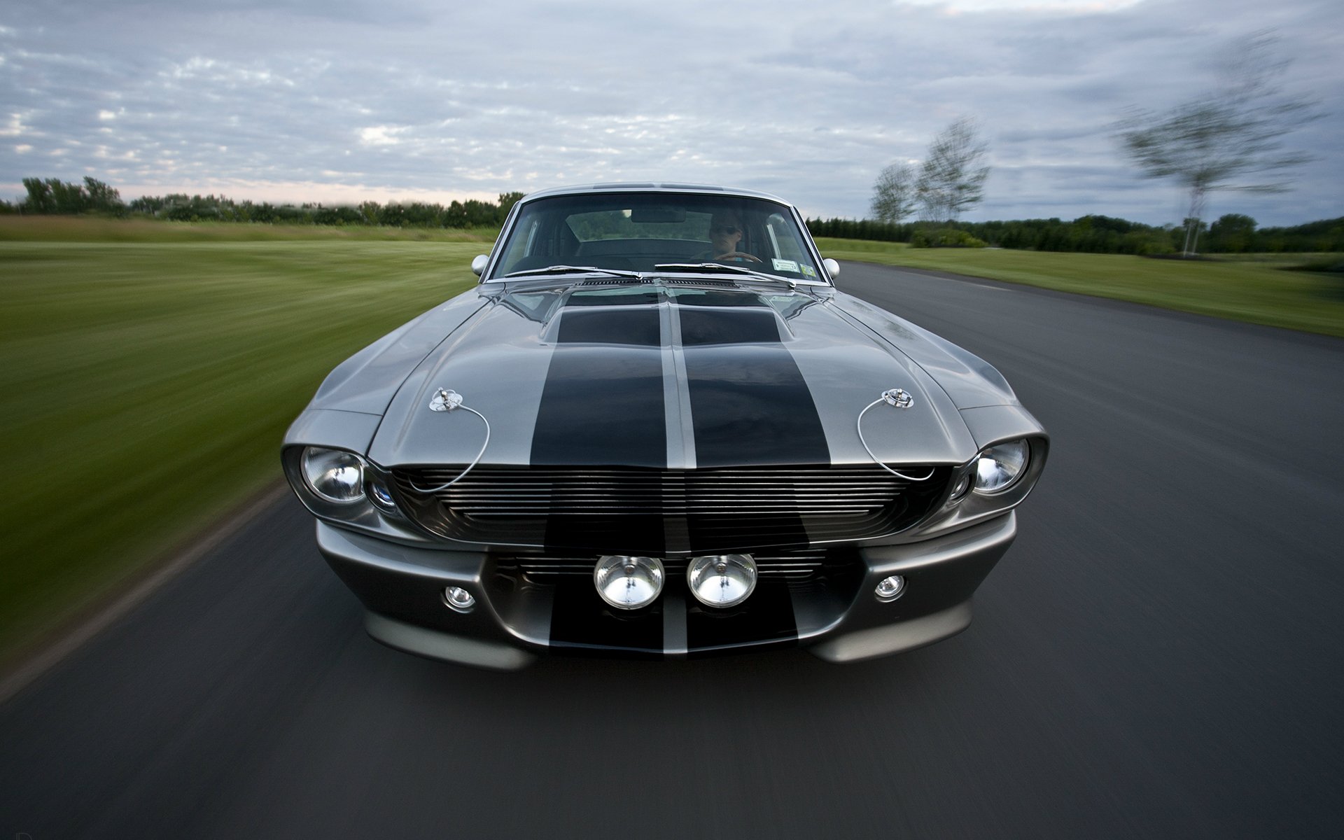 ford mustang gt500 shelby eleanor leyenda coche del músculo carretera fondo de pantalla