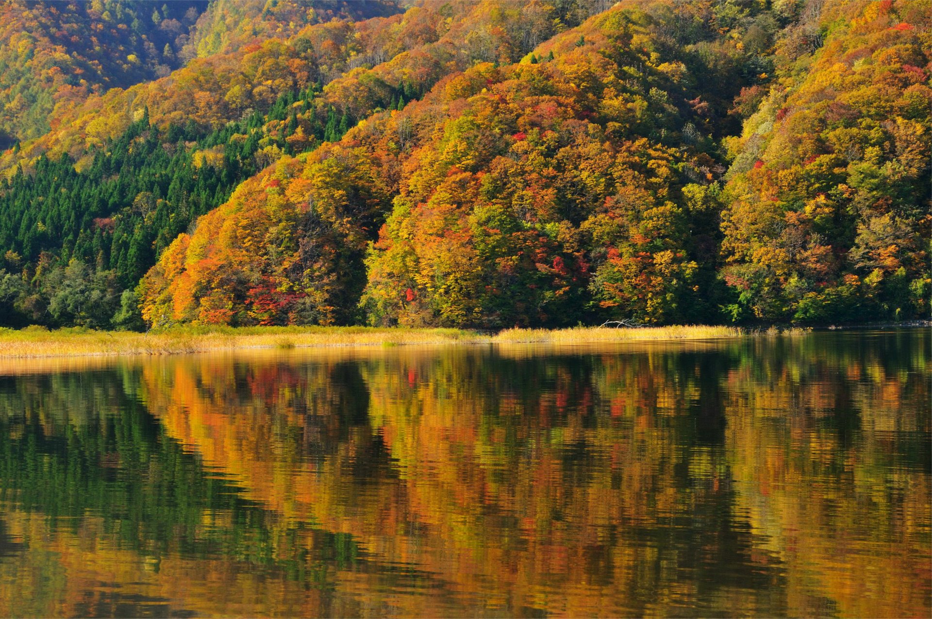 japon japan fukushima lake akimoto autumn