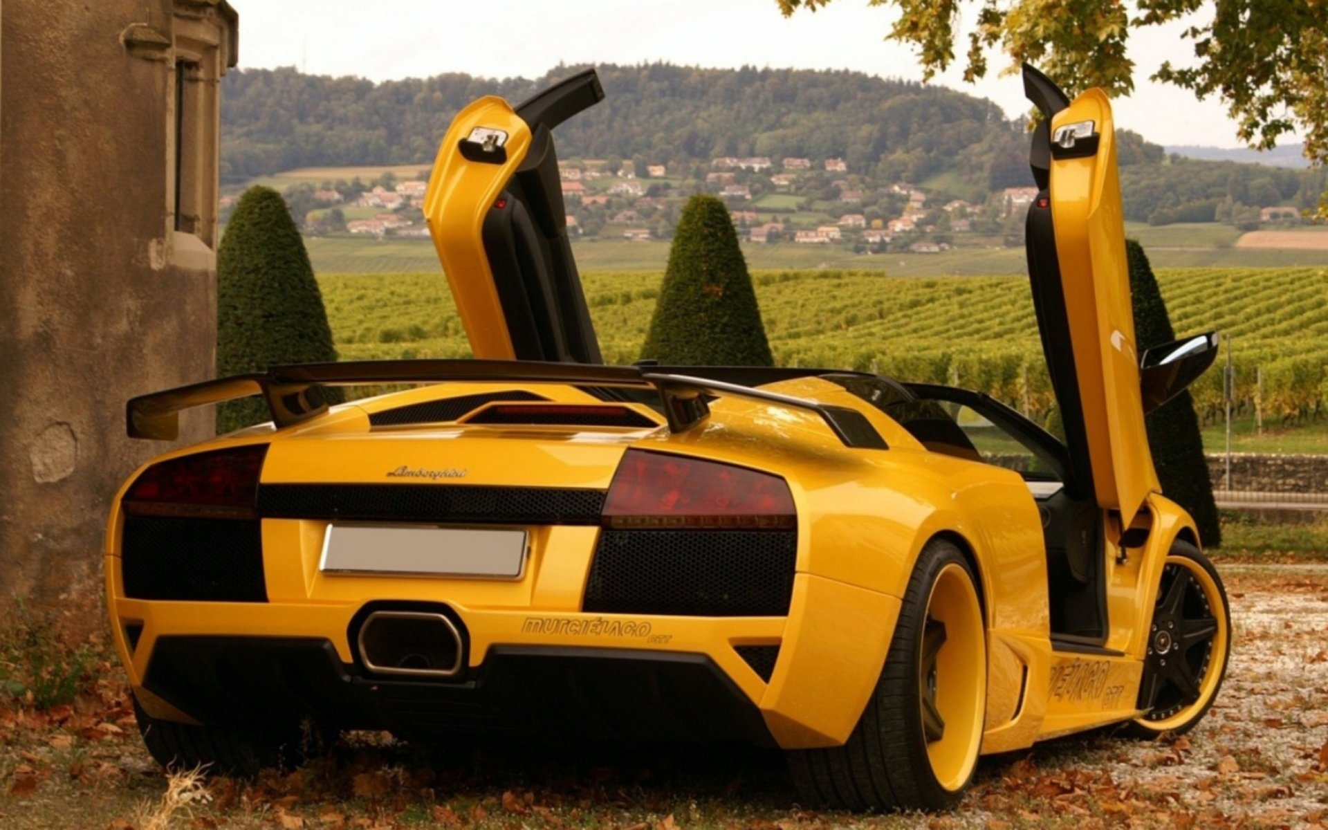 lamborghini murcielago lamborghini messa a punto natura