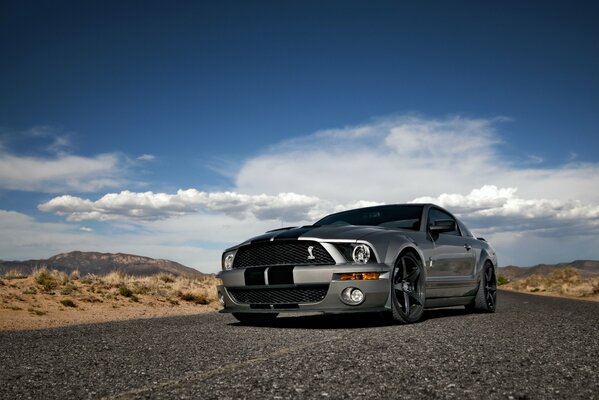 Potente argento Ford Mustang sulla strada contro il cielo