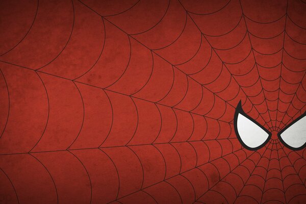 Guarda le ragnatele fatte da Spider-Man