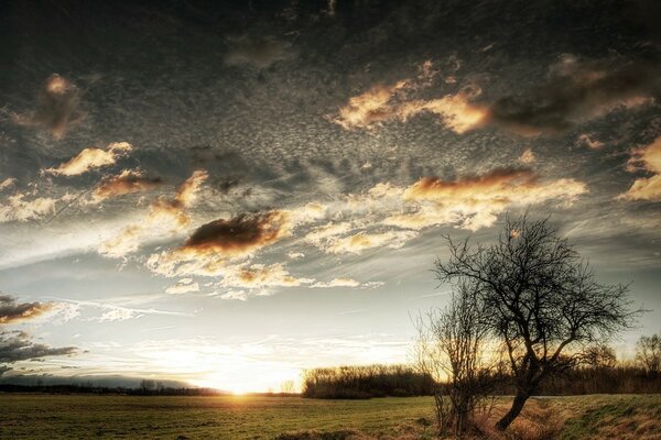 Sunset over the fields