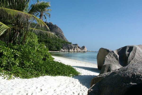 The beach is a quiet place and rocks