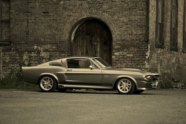 Shelby Mustang gt500. Schwarzweißfoto