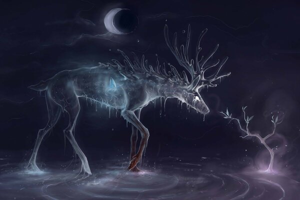 L esprit du cerf de nuit art