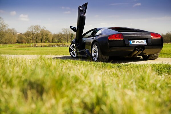 Hierba de primavera y coche negro