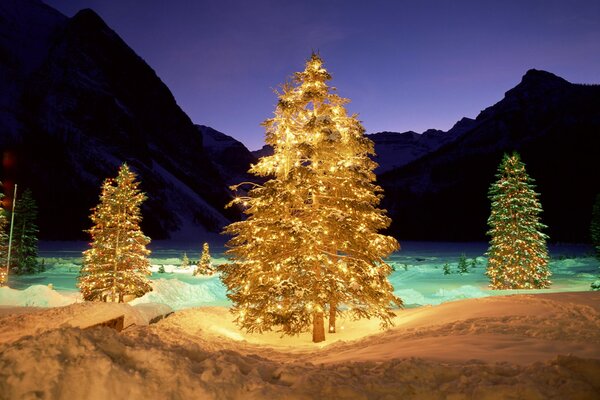 Der Weihnachtsbaum leuchtet und die Lichter leuchten nachts, im Winter