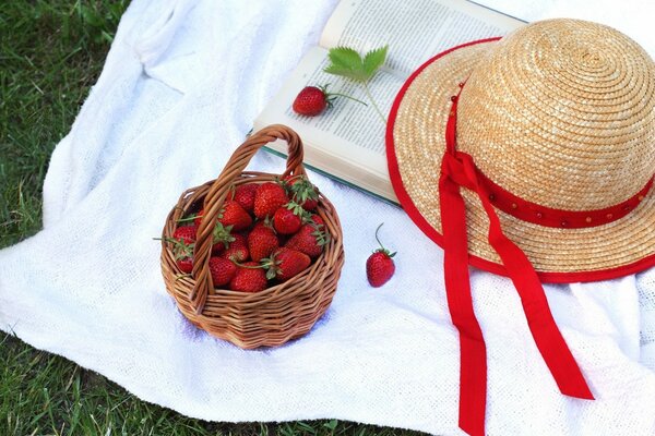 Summer picnic with a basket of berries