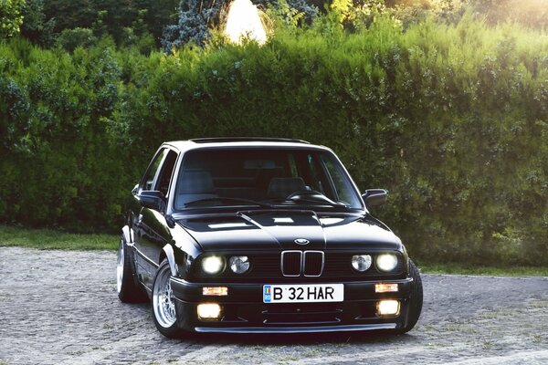 Black bmw Coupe 3 series next to the bushes