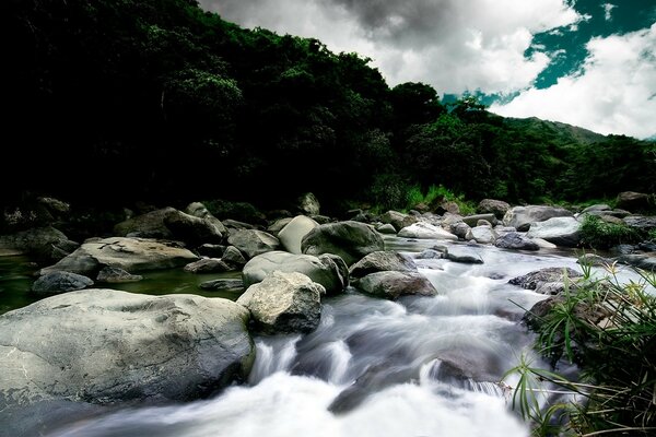 Un río de montaña rodeado de vegetación