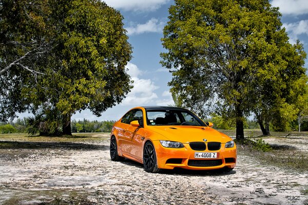 There is an orange car on the road among the trees