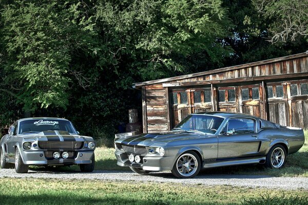 Ford Mustang gt500 Shelby Eleanor cerca de la cabaña en el bosque