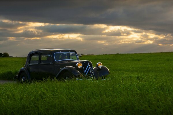 Vintage auto dans le domaine