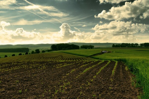 Une voiture blanche gâte une belle terre arable