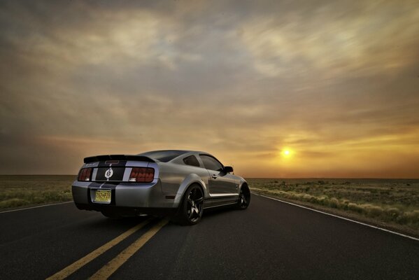 Ford Mustang shelby gt500 car on the track