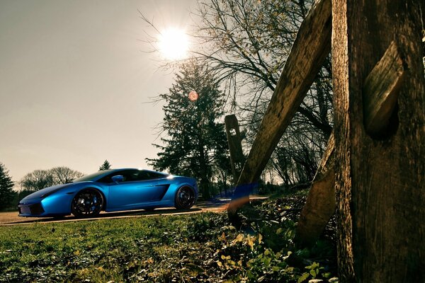 Dans la nature se trouve une belle voiture bleue