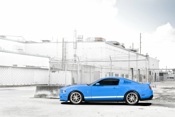 A blue sports car is parked at the fence