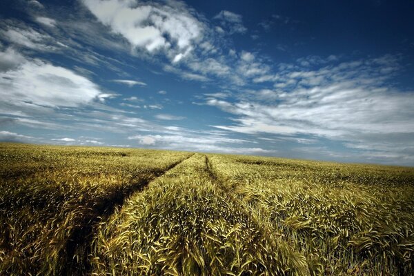 The vast expanses of the universe