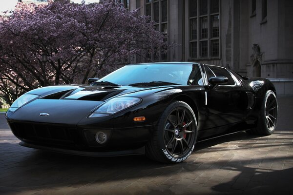 A black sports car at a beautiful building with a tree