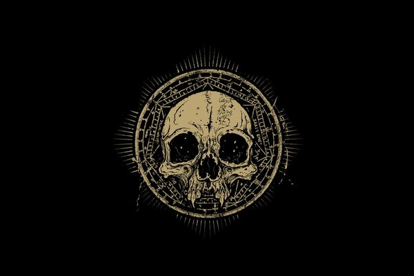 Skull drawing on a black background