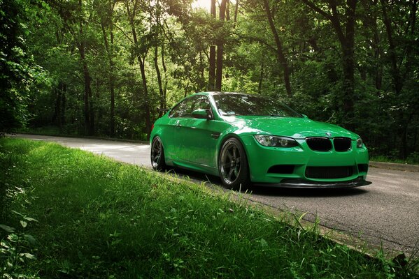 Green car on the road in the forest