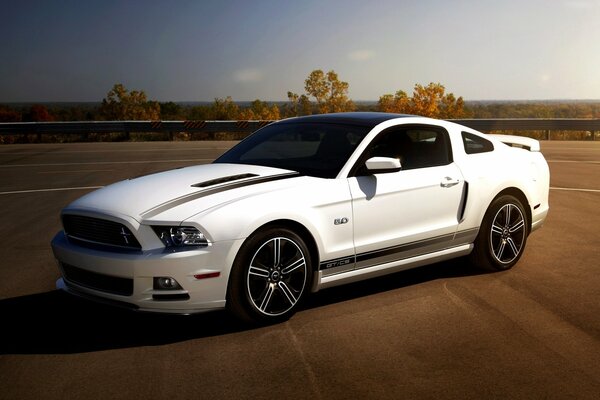 Ford Mustang 5. 0 gt weiß auf blauem Himmelshintergrund