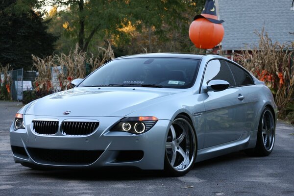 Silver BMW on a green tree background