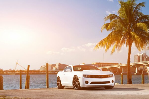 Ein weißer Chevrolet camaro steht an der Strandpromenade von Palma