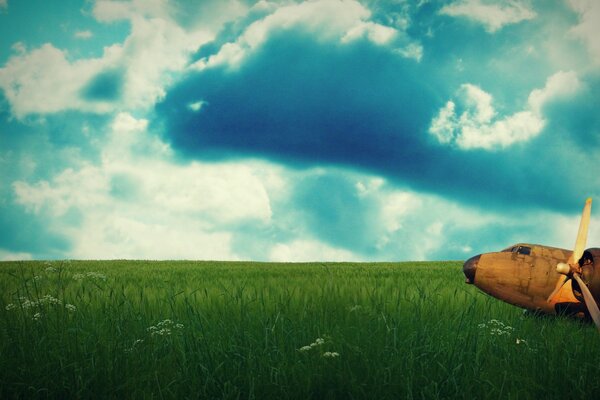 A rusty plane in a green field