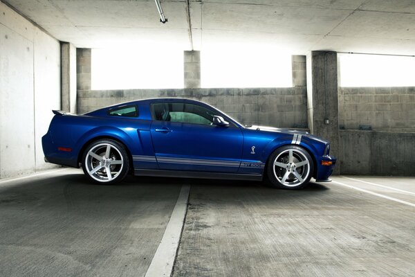 Blue Mustang Gt500 car in the parking lot