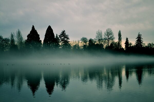 Morgendämmerung am Fluss am frühen Morgen