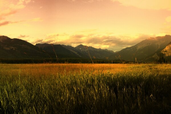 Die Berge. Sonnenaufgang. Herbst